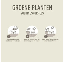 Instructie voor groene planten voedingskorrels: 1 strooi korrels in border of pot, 2 meng door bovenlaag grond, 3 geef water om te activeren.