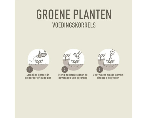 Instructie voor groene planten voedingskorrels: 1 strooi korrels in border of pot, 2 meng door bovenlaag grond, 3 geef water om te activeren.