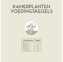 Doseringstabel voor kamerplanten voedingskegels. Potdiameter 15 centimeter: 1 kegel, 20: 2, 25: 4 en boven 35 centimeter: 8 kegels.