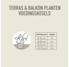 Infographic voor terras- en balkonplanten voedingskegels. Tabel toont aantal kegels per potdiameter van 15 tot meer dan 35 centimeter.