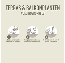 Gebruiksaanwijzing voor terras- en balkonplantenvoeding in drie stappen: strooien, door de grond mengen en water geven.