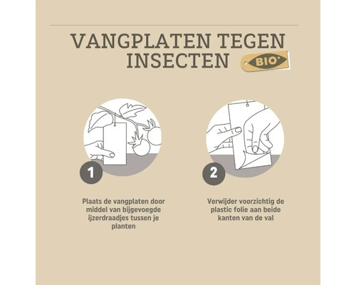 Instructie voor biologische vangplaten tegen insecten: hang de val met ijzerdraad tussen planten en verwijder de beschermfolie.