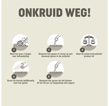 Instructie onkruidbestrijding: 1. Gras 4 dagen vooraf maaien. 2. Gazon bevochtigen. 3. Hoeveelheid afmeten. 4. Korrels strooien. 5. Besproeien na 24 tot 48 uur.