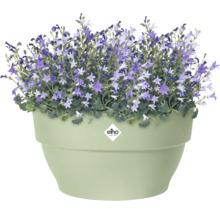 Lichtgroene ronde Elho bloempot met paarse klokjesbloemen. Elho Logo.