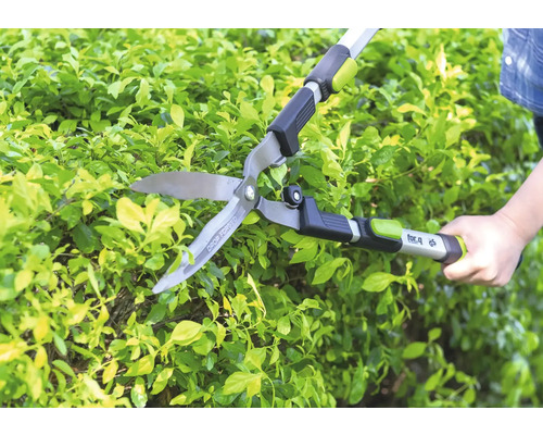 Handmatige for_q heggenschaar bij het snoeien van een groene heg in de tuin.