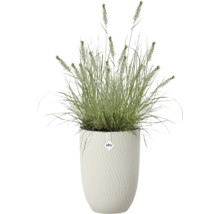 Hoge witte bloempot met geribbelde structuur van Elho, beplant met een siergras. Elho Logo.