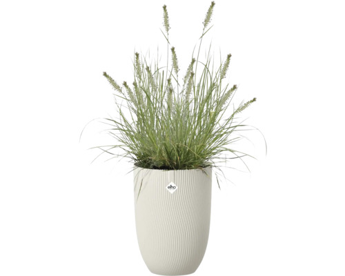 Hoge witte bloempot met geribbelde structuur van Elho, beplant met een siergras. Elho Logo.