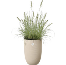 Siergras in een hoge Elho plantenbak met een golvende verticale structuur. Elho Logo.