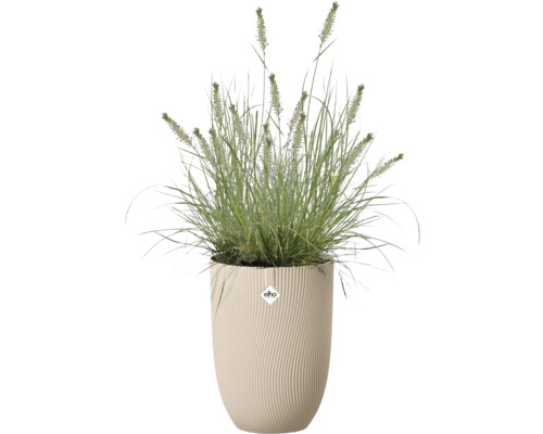 Siergras in een hoge Elho plantenbak met een golvende verticale structuur. Elho Logo.