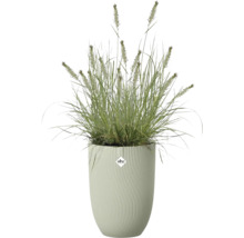 Groen siergras met aren in een hoge plantenbak met ribbelstructuur. elho Logo.
