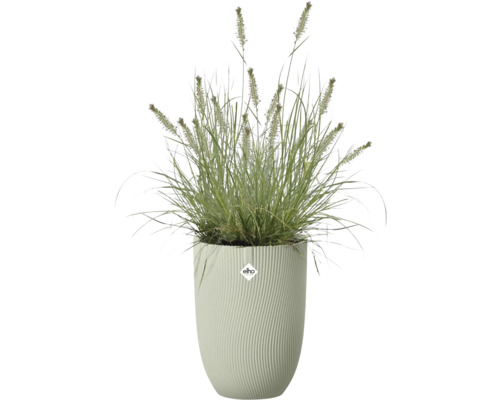 Groen siergras met aren in een hoge plantenbak met ribbelstructuur. elho Logo.