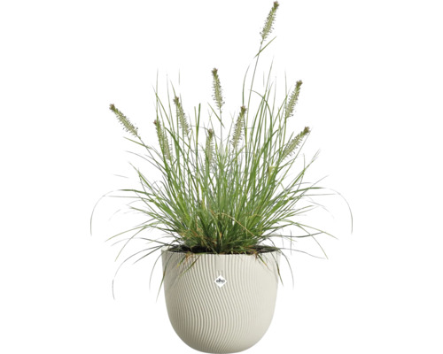 Siergras in een witte ronde plantenpot met verticale golfstructuur en elho Logo.