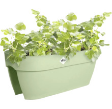 elho balkonbak voor de reling beplant met klimop.