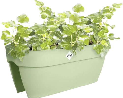 elho balkonbak voor de reling beplant met klimop.
