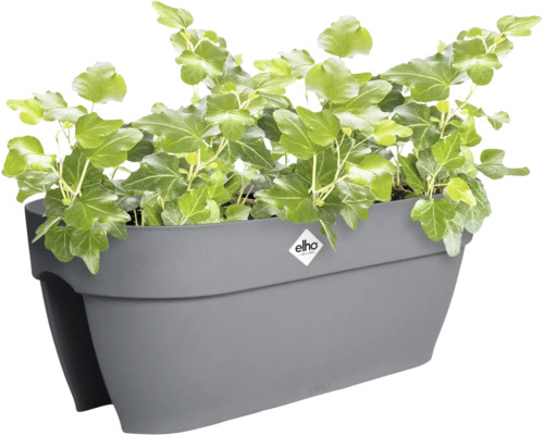 Elho balkonbak voor over de reling van kunststof in antraciet met klimop en Elho Logo.