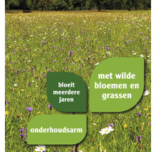 Bloemenweide met wilde bloemen en grassen, bloeit meerdere jaren en is onderhoudsarm.