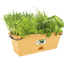 Elho kruidenbak van kunststof beplant met basilicum, peterselie en bieslook.