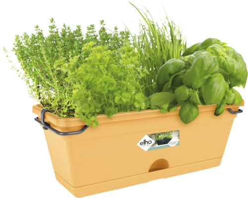 Elho kruidenbak van kunststof beplant met basilicum, peterselie en bieslook.