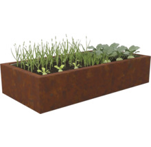 Rechthoekige verhoogde plantenbak van cortenstaal, beplant met jonge groenteplanten zoals koolrabi en groene scheuten.