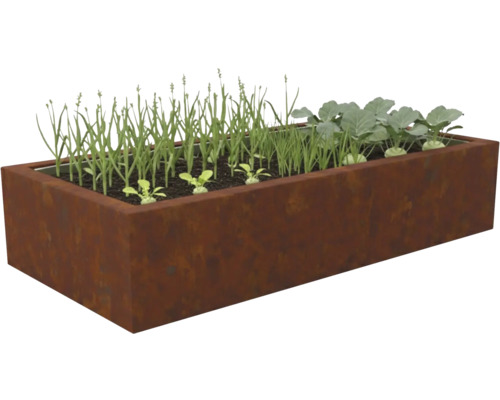 Rechthoekige verhoogde plantenbak van cortenstaal, beplant met jonge groenteplanten zoals koolrabi en groene scheuten.