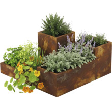 Plantenbakken met roestlook in verschillende hoogtes, beplant met kruiden, Oost-Indische kers en lavendel.