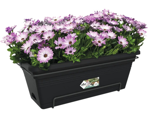 Zwarte Elho balkonbak van kunststof beplant met paarse en witte bloemen.