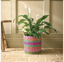 Lepelplant kamerplant in een gevlochten mand met patroon op een stenen vloer voor een wand met houten panelen naast een houten kruk.