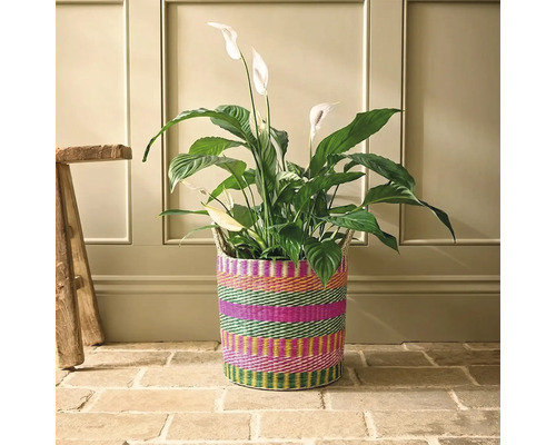 Lepelplant kamerplant in een gevlochten mand met patroon op een stenen vloer voor een wand met houten panelen naast een houten kruk.
