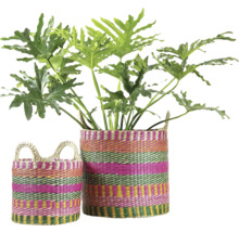 Twee kleurrijk gestreepte gevlochten manden van natuurlijk materiaal met een Philodendron kamerplant.