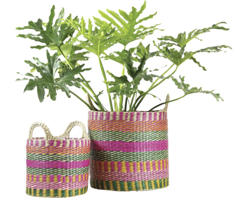 Twee kleurrijk gestreepte gevlochten manden van natuurlijk materiaal met een Philodendron kamerplant.