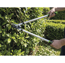 Persoon snoeit een heg met een bypass takkenschaar in de tuin. De takkenschaar heeft lange stelen en ergonomische handgrepen.