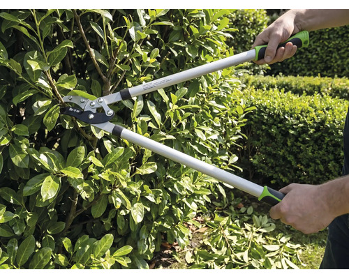 Persoon snoeit een heg met een bypass takkenschaar in de tuin. De takkenschaar heeft lange stelen en ergonomische handgrepen.