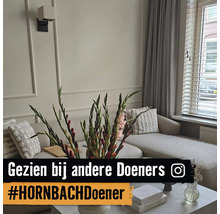 Woonkamer met wandlijsten, lichtgekleurde bank, jaloezieën en gordijnen. Op de voorgrond gladiolen. Tekst met Instagram Logo.