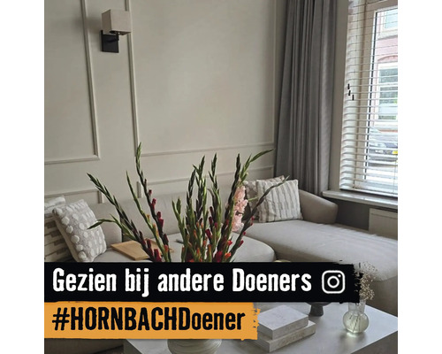Woonkamer met wandlijsten, lichtgekleurde bank, jaloezieën en gordijnen. Op de voorgrond gladiolen. Tekst met Instagram Logo.