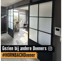 Dubbele schuifdeuren in industriële stijl met zwart metalen frame en matglas in een modern interieur.