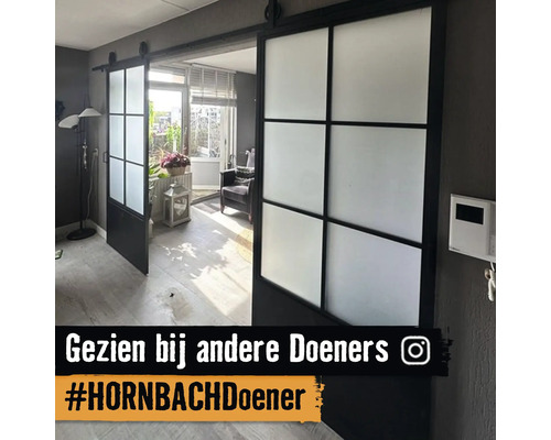 Dubbele schuifdeuren in industriële stijl met zwart metalen frame en matglas in een modern interieur.