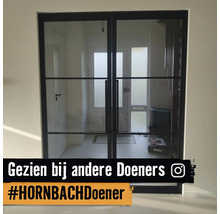 Dubbele glazen deur met zwart metalen frame en horizontale roedes in een lichte hal.