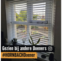Witte horizontale jaloezieën voor een raam met uitzicht op de tuin, gedecoreerd met planten op de vensterbank.