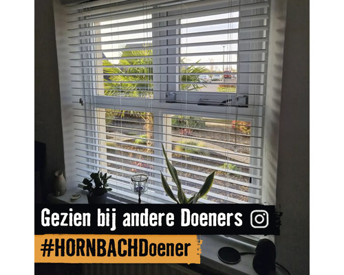 Witte horizontale jaloezieën voor een raam met uitzicht op de tuin, gedecoreerd met planten op de vensterbank.