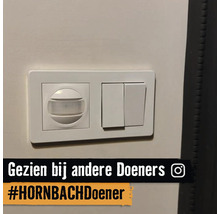 Witte bewegingsmelder en dubbele wipschakelaar in een gecombineerd frame op een muur gemonteerd.