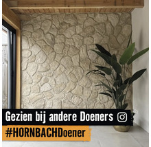 Accentmuur met natuursteenstrips in een lichte kamer met een houten plafond, een grote plant en Instagram Logo.