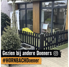 Zwart houten hekwerk voor een modern gebouw met glazen pui, een plantenbak met naaldboom en kunstgras.