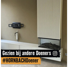 Moderne woonkamer met wit laag meubel, glazen haard met houten lattenwand erboven en televisie-muurbeugel. Instagram Logo.
