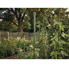 Groene plantenstaak van kunststof als klimhulp voor tomaten en klimplanten in een bloeiende tuin met houten hek.