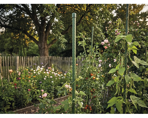 Groene plantenstaak van kunststof als klimhulp voor tomaten en klimplanten in een bloeiende tuin met houten hek.