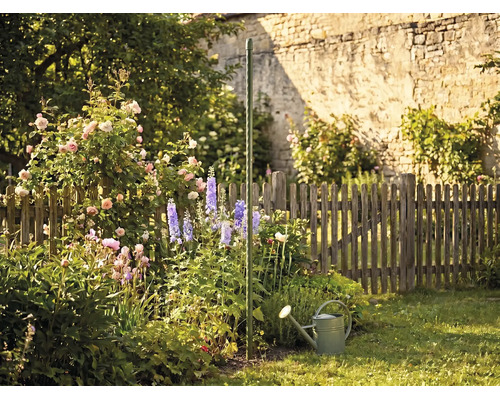 Groene tomatenspiraal in een bloeiende tuin met rozen, ridderspoor en een gieter voor een houten hek.