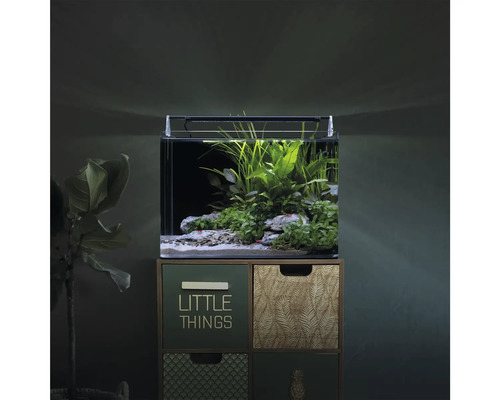 Ingericht nano-aquarium met ledverlichting op een ladekast, beplant met waterplanten.