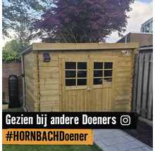 Houten tuinhuis met dubbele deur en ruitjes in een tuin naast een regenton.