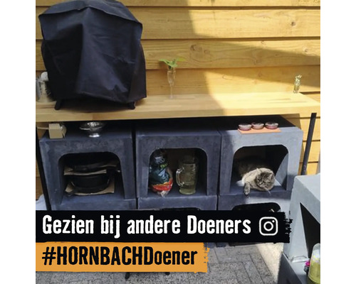 Zelfgebouwde buitenkeuken van modulaire stenen blokken en houten werkblad voor een houten wand. Er ligt een kat in een van de blokken.