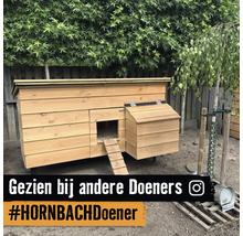 Houten kippenhok in een tuin met een loopplank en een legnest voor een houten schutting. Instagram Logo.